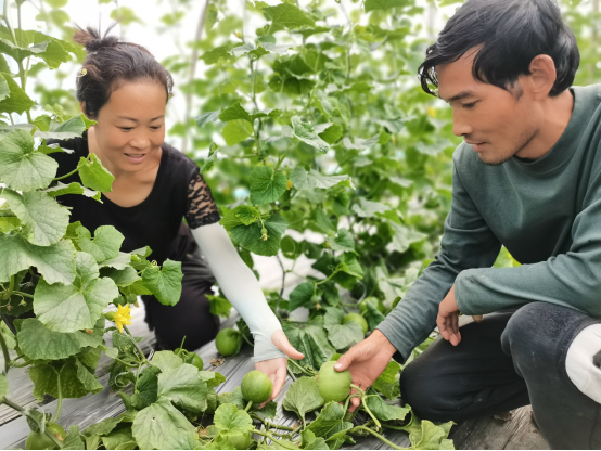 嘉祥:家庭农场开启致富门