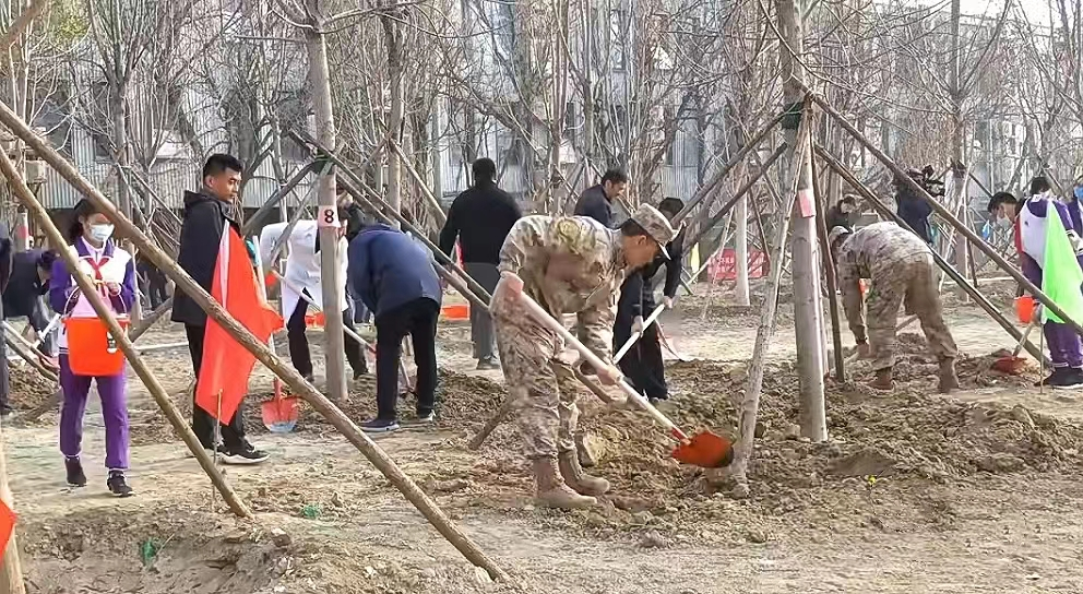 北京朝阳开展军民义务植树活动