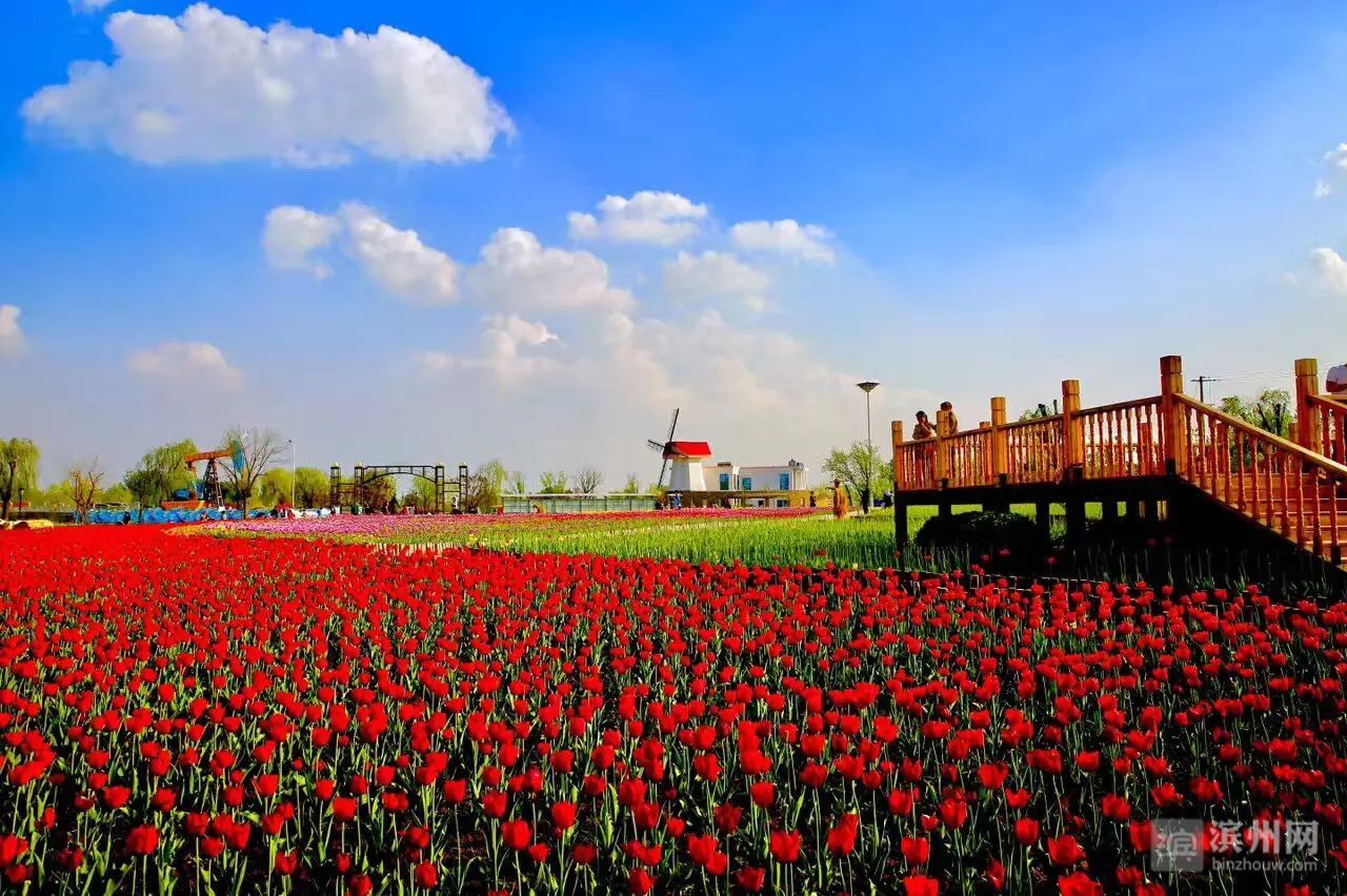 品质之城⑥环境，品质滨州的“金名片”