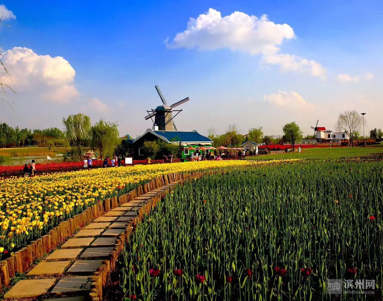 品质之城⑥环境，品质滨州的“金名片”