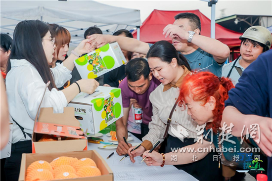 湖北柑橘推介活动在广州举行 开启大湾区“甜蜜之旅”