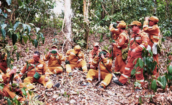 云南西盟：守护绿水青山 密织森林“防火网”