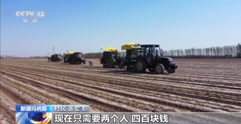 机械化移栽率达100%!新疆玛纳斯番茄移栽全面开始 机械化移栽率达100%!新疆玛纳斯番茄移栽全面开始