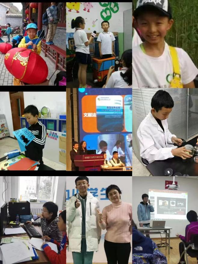 北京市西城区科技教师杨海燕：擅长给学生“挖坑”， 种下科学探索的种子
