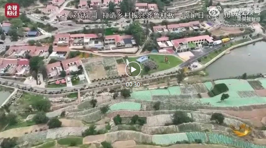 山东省委书记揭秘乡村振兴典型经验 打造乡村振兴齐鲁样板