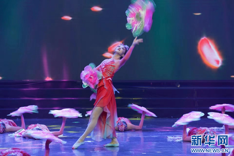 [图文]哈尔滨举办“文艺两新”活动展示季暨第十四届大众舞蹈节 第 2 张