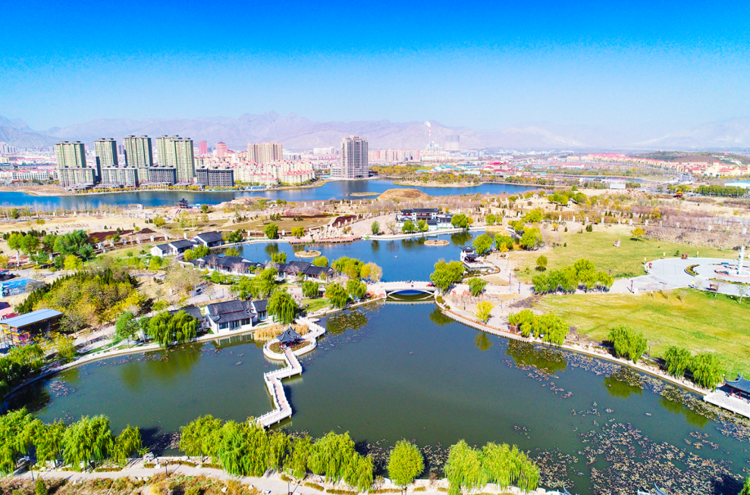 726件作品:“我和石嘴山的故事”征文开始评审啦