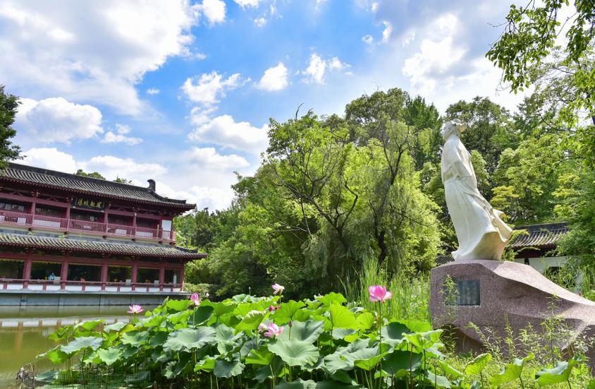 江河之上，共绘发展新图景