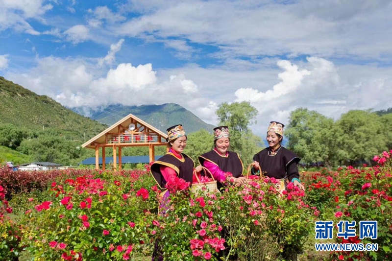 我们的家园·西藏篇|林芝：大力发展生态旅游与特色产业 全面推进乡村振兴