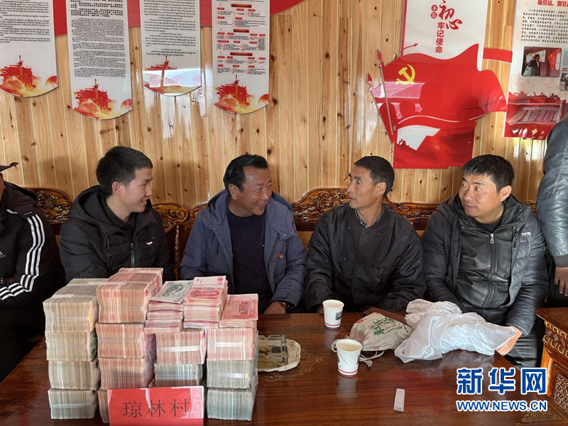 我们的家园·西藏篇|林芝：大力发展生态旅游与特色产业 全面推进乡村振兴