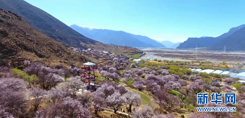 我们的家园·西藏篇|林芝：大力发展生态旅游与特色产业 全面推进乡村振兴