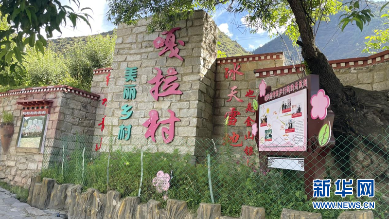 我们的家园·西藏篇|林芝：大力发展生态旅游与特色产业 全面推进乡村振兴