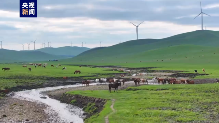 “绿色风”从草原来！霍林河循环经济绿电装机规模突破百万千瓦