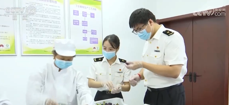 江苏镇江开辟“绿色通道” 确保葡萄外销顺畅