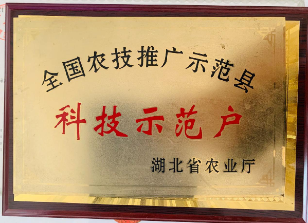 原乡凤翔家庭农场:“新农人”绘就“稻田理想” 原乡凤翔家庭农场:“新农人”绘就“稻田理想”