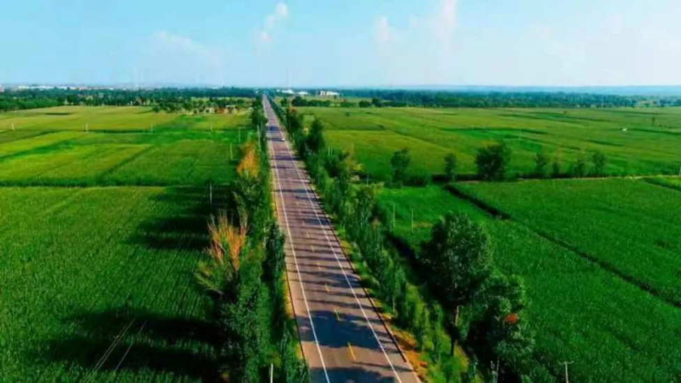 2022年度陕西省十大最美农村路揭晓