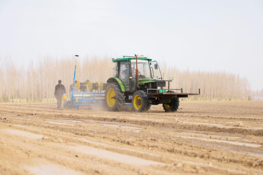 新疆：春耕生产更显“科技范”