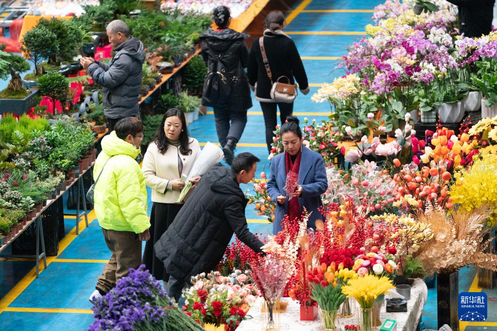 四季中国丨在斗南，秀出鲜花“新花样”