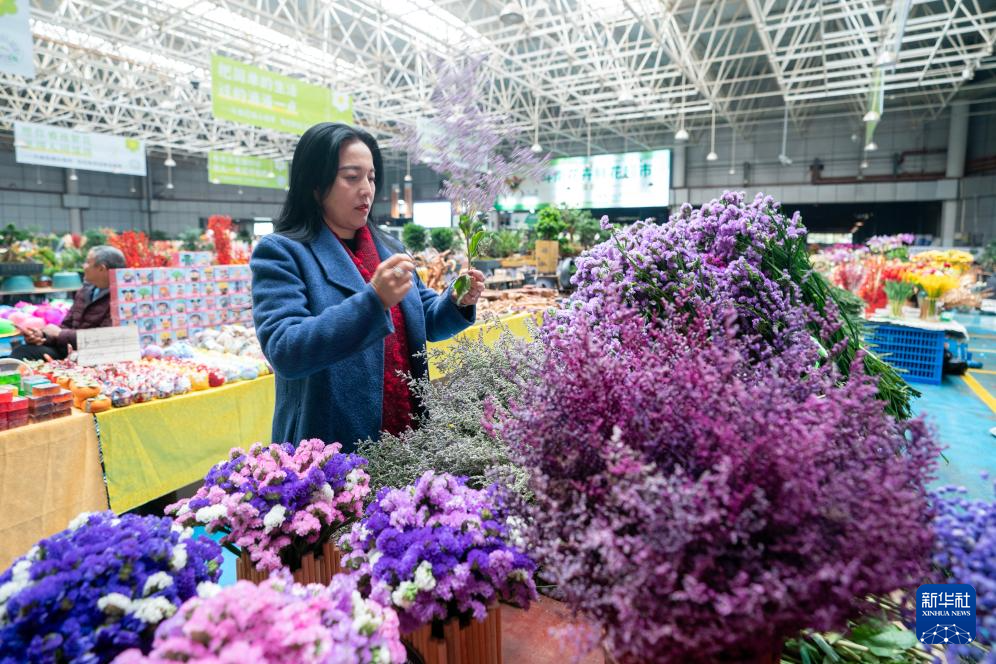 四季中国丨在斗南，秀出鲜花“新花样”