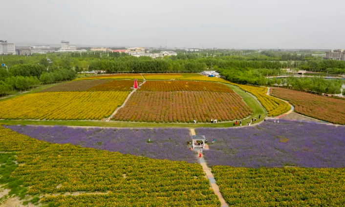 走高质量发展之路，铁门关文旅花开丝路雄关