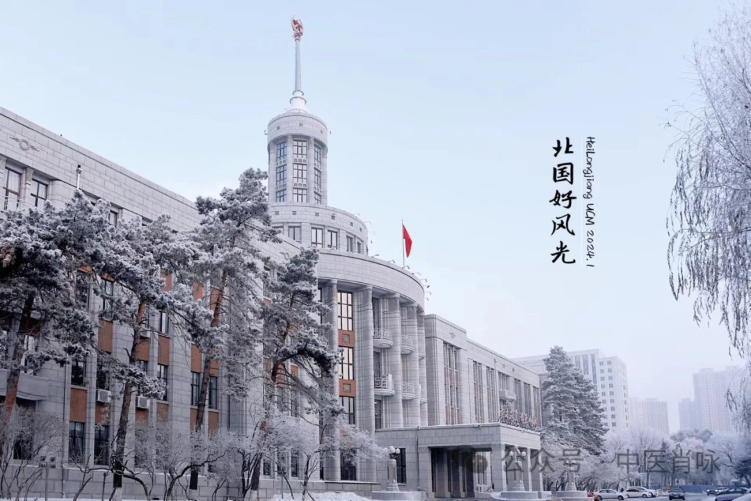 清澈的爱 只为中国 | 冰雪大世界“壁纸女孩”来自黑龙江中医药大学！