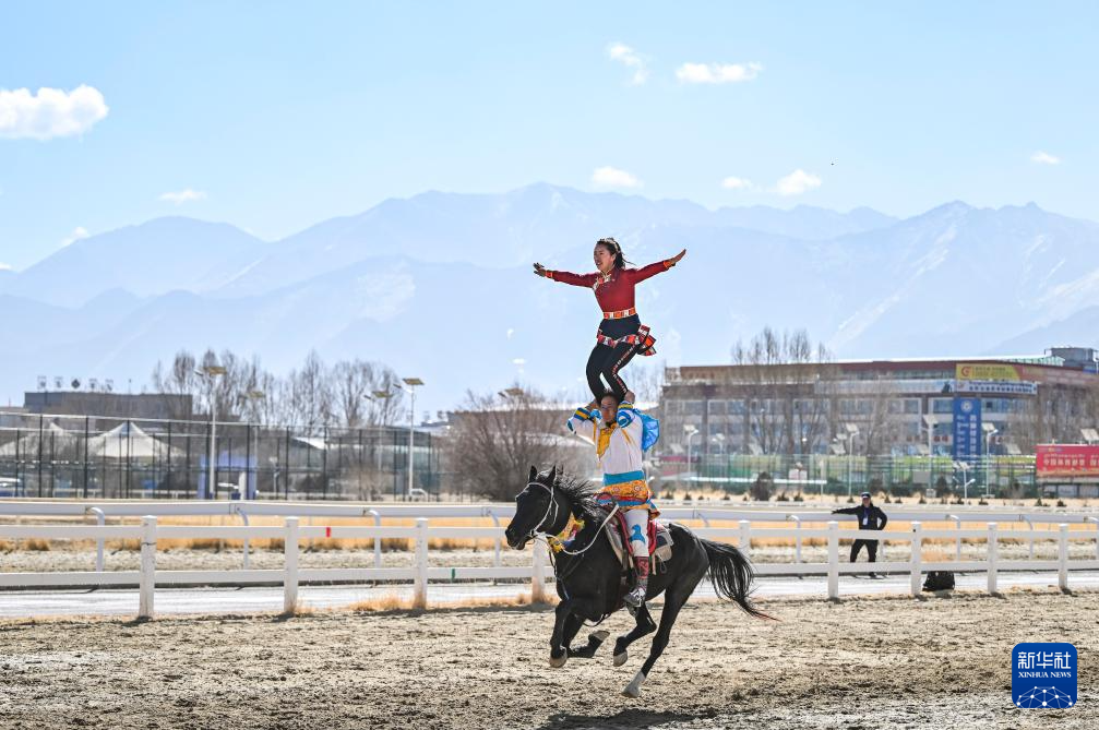 西藏拉萨：马背上的新年祝福
