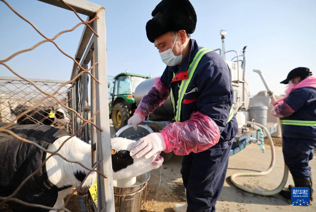 山东沂南：发展奶牛养殖
