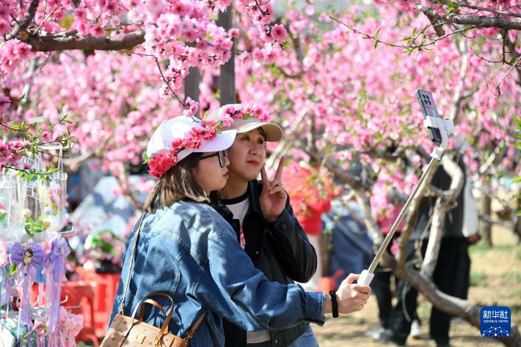第二十六届北京平谷国际桃花节开幕