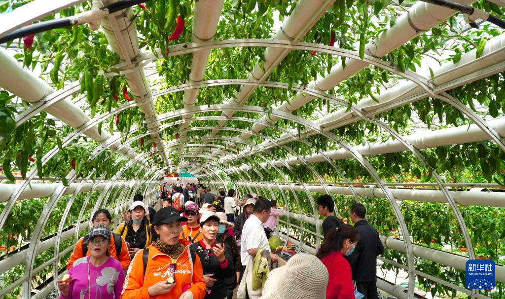 第二十五届中国（寿光）国际蔬菜科技博览会在山东潍坊举办