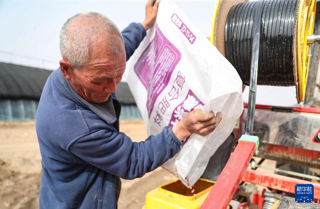 辽宁阜新：玉米密植助力防沙治沙