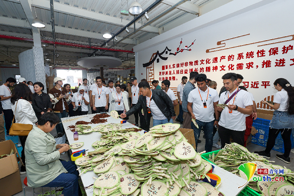 进展馆、摘茶叶、做藤编……来华留学生沉浸式体验三秦文化