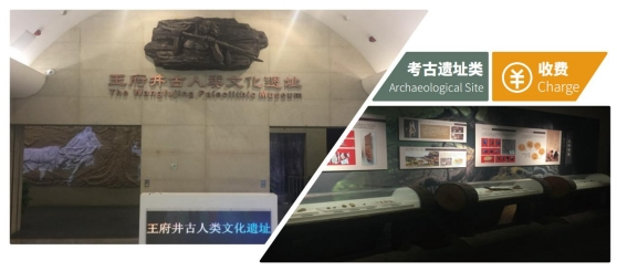 2024北京博物馆月丨“百馆千展万人观”博物馆指南·考古遗址类