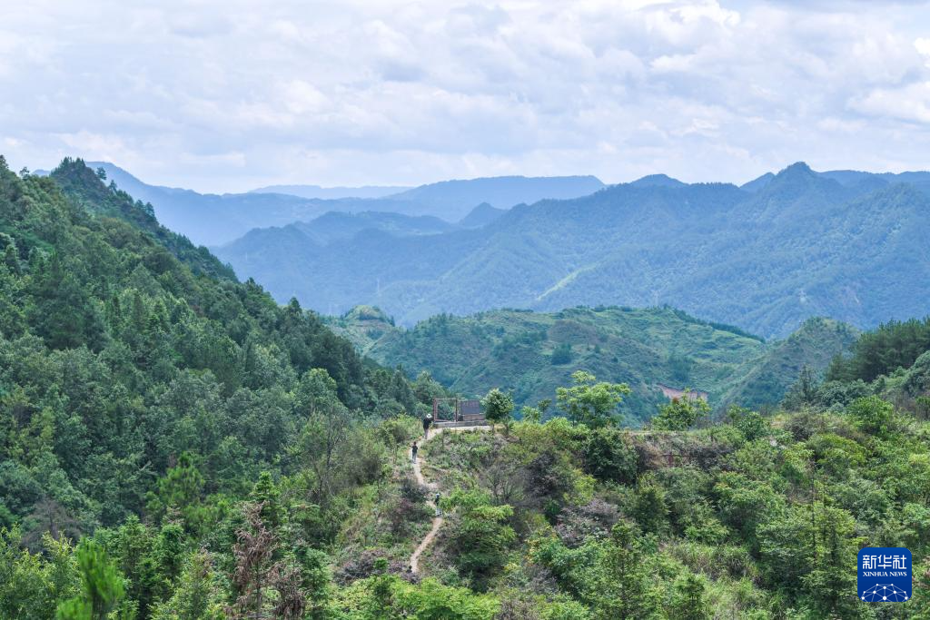 在苗岭深处讲述古生物故事