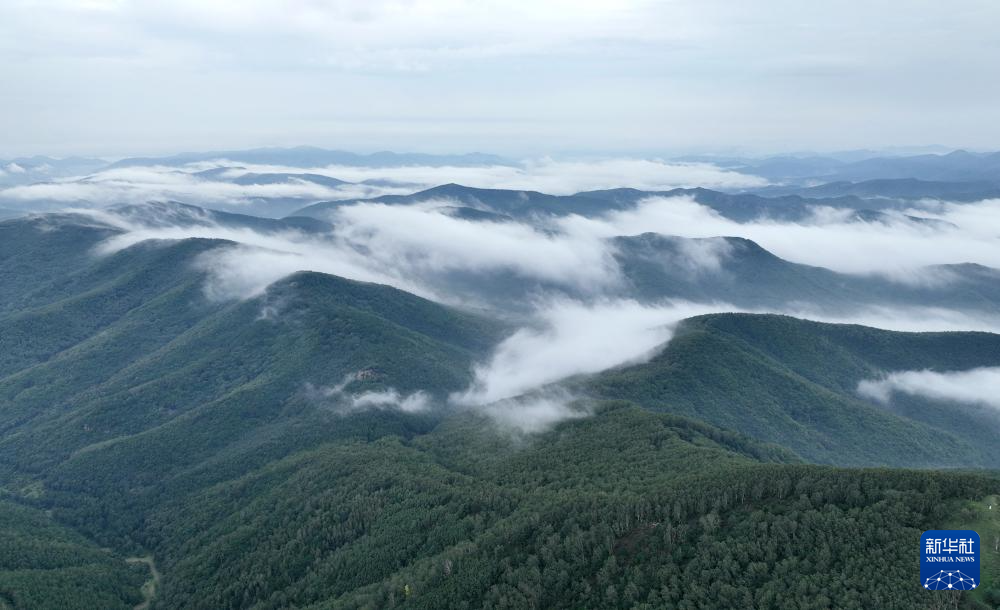 飞阅中国丨河北隆化：茅荆坝雾霭山岚如画