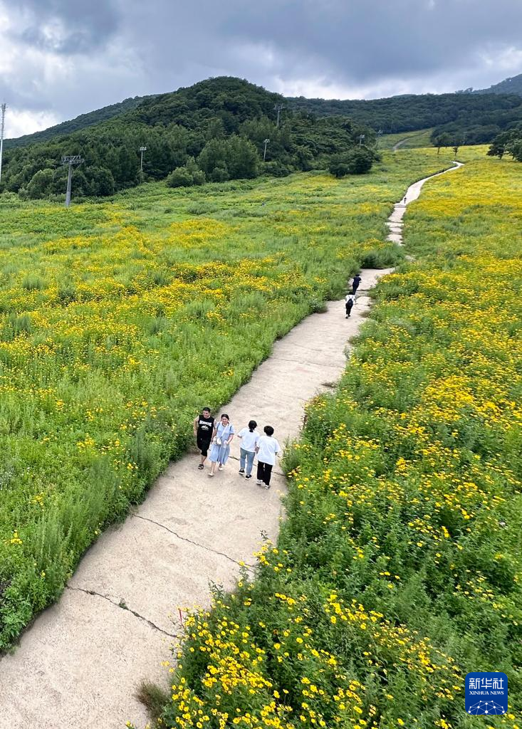 锚定现代化 改革再深化｜吉林市：滑雪场单色变彩色 带热消夏旅游季