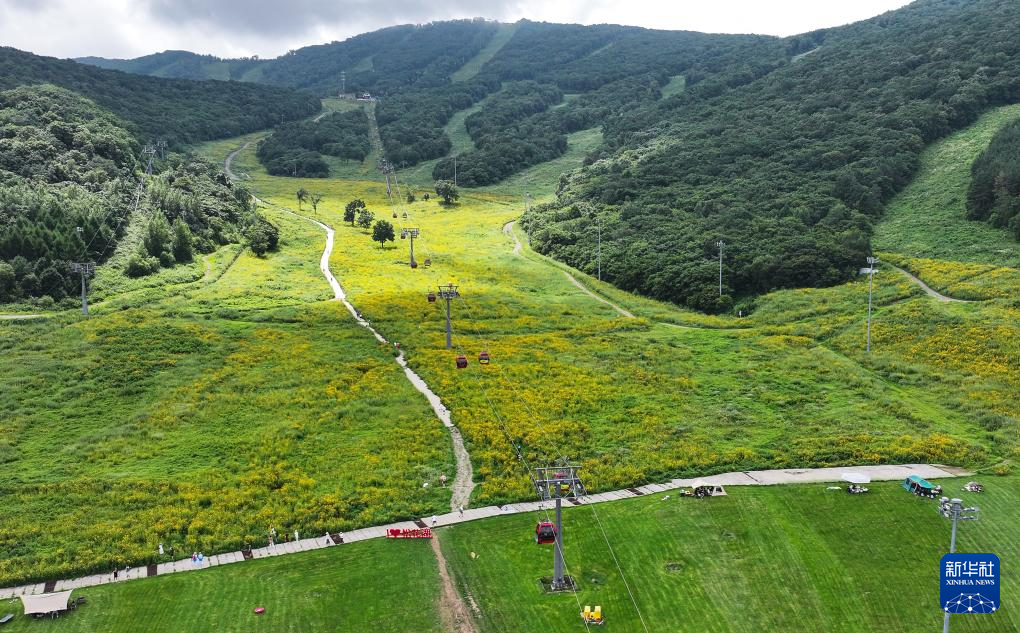 锚定现代化 改革再深化｜吉林市：滑雪场单色变彩色 带热消夏旅游季