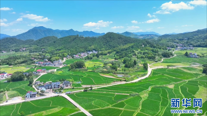 安徽旌德：绿波荡漾映天光 梯田层叠绘山乡