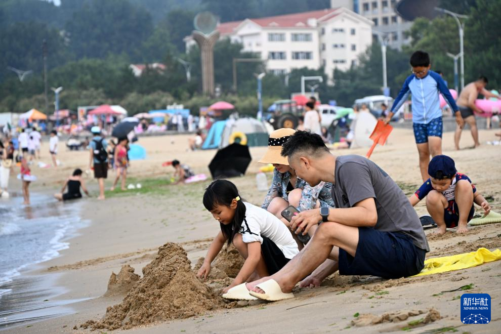 山东：近海岸线修复让滨海飘扬生态“绿丝带”