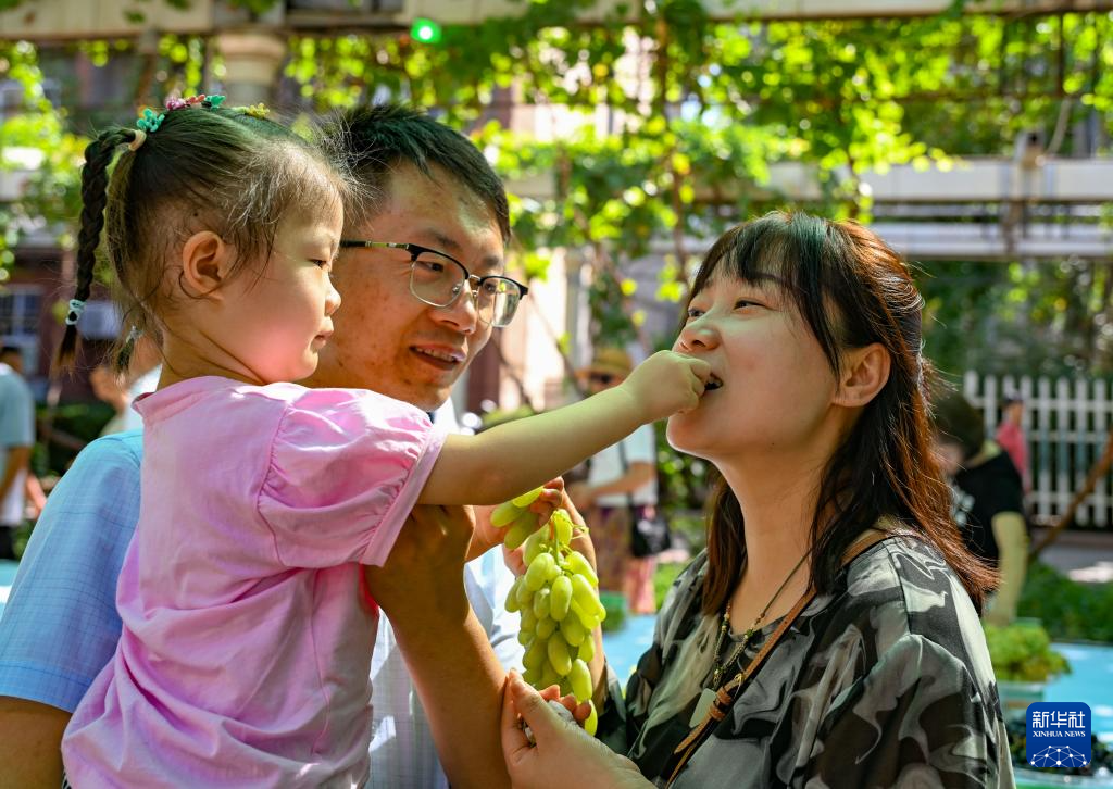 新疆吐鲁番：葡萄成熟引客来