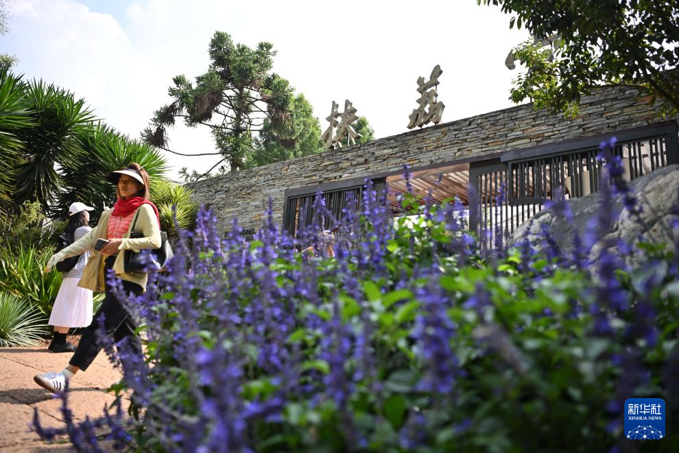 高质量发展调研行｜云南昆明：走进昆明植物园“扶荔宫”