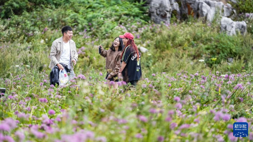 贵州六盘水：韭花盛开引客来