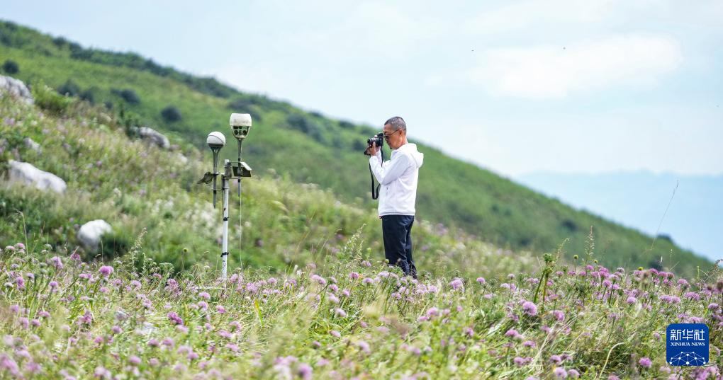 贵州六盘水：韭花盛开引客来