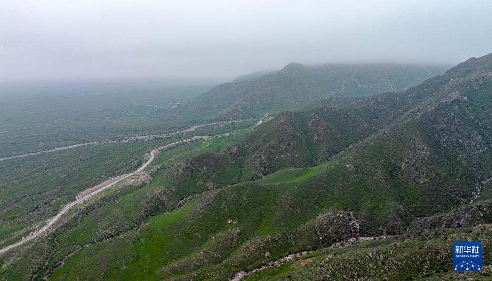 秋雨润绿贺兰星空体育山(图1)