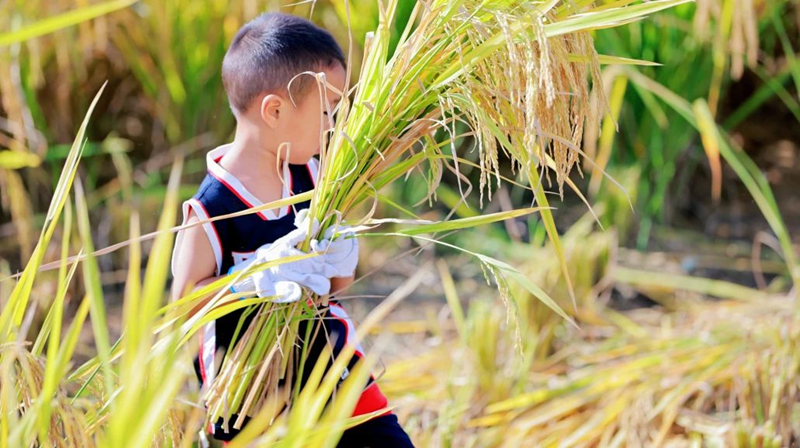 拍照打卡、运动休闲、熊猫嘉年华……在成都天府绿道实现N种国庆玩法