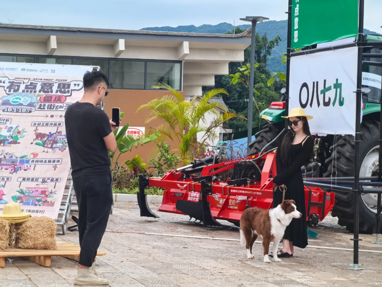 【奋进强国路 阔步新征程】云南省普洱市思茅区：乡村在希望的沃土上“蝶变”