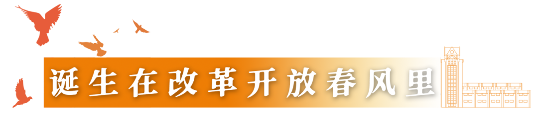 《烟台大学发展史（1984-2024）》正式出版！校史展厅焕新开展！