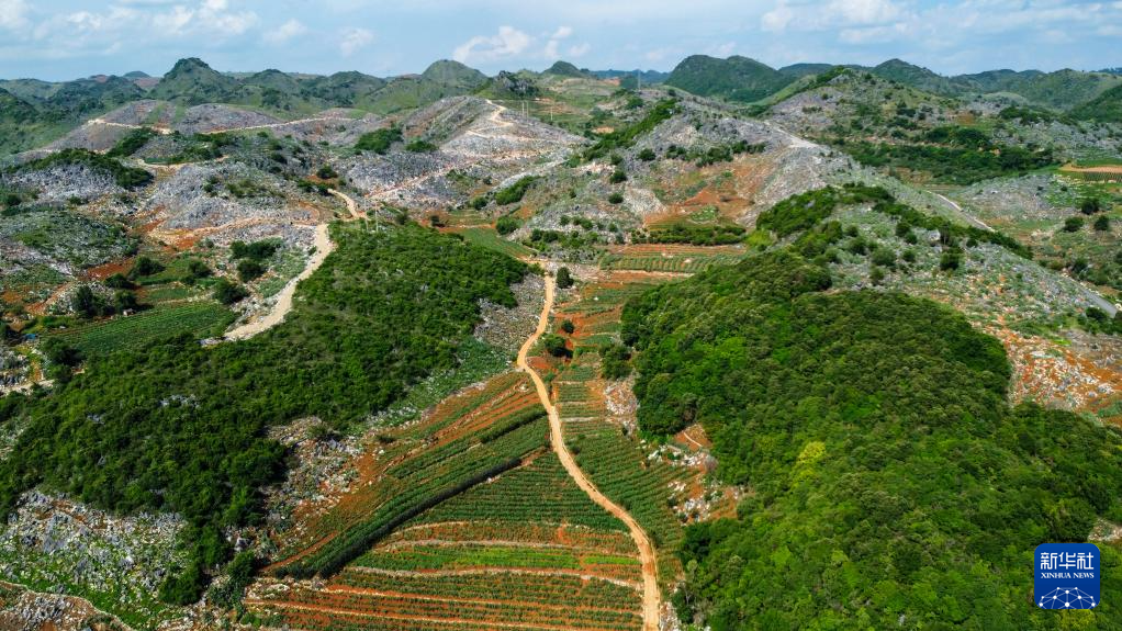 新时代中国调研行之看区域·西部篇丨云南文山：“石头山”蝶变“花果山”