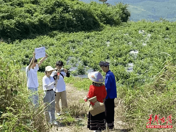 江玲妍：风起于青萍之末 浪成于微澜之间