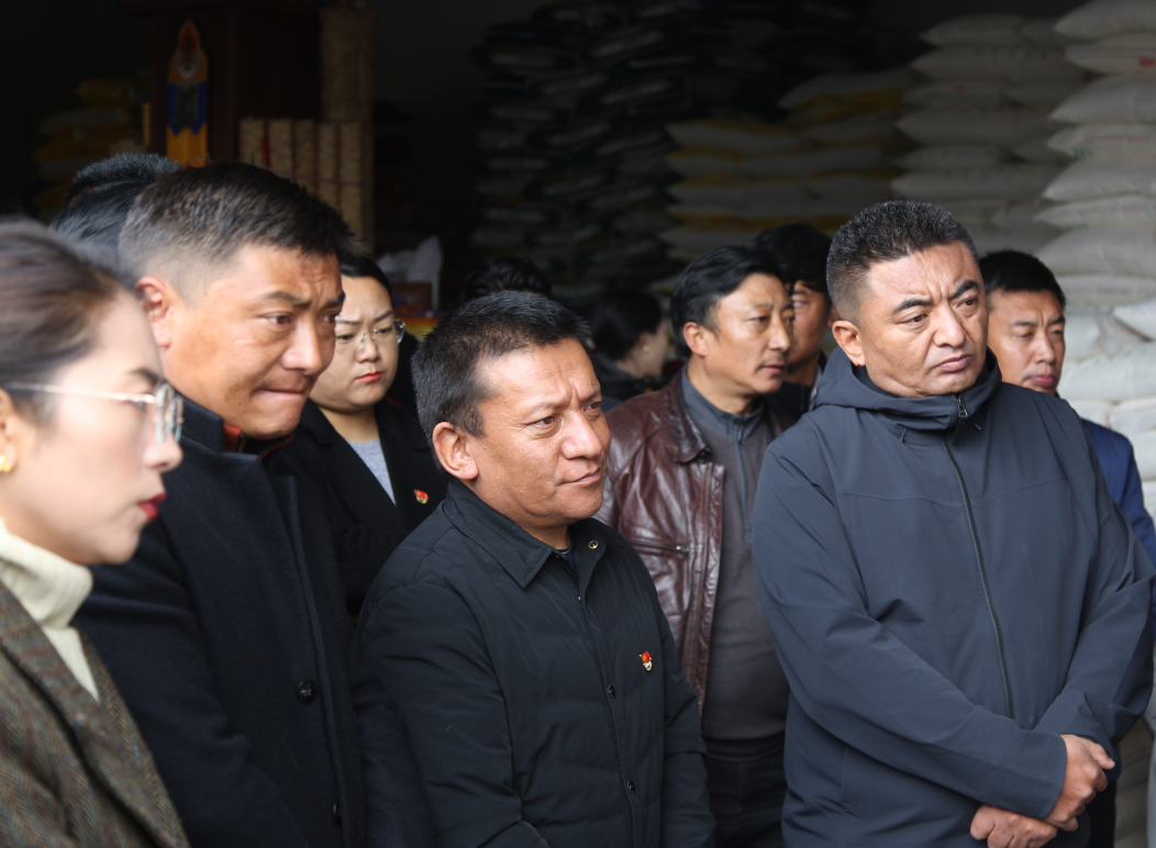 观摩学习拓思路 交流互鉴促提升——玉树市乡镇街道基层工作观摩活动综述