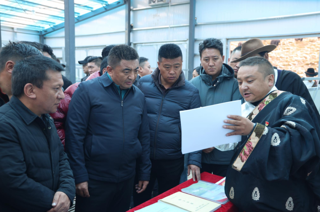 观摩学习拓思路 交流互鉴促提升——玉树市乡镇街道基层工作观摩活动综述